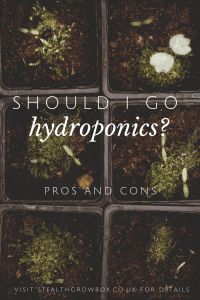 Should I go hydroponics?