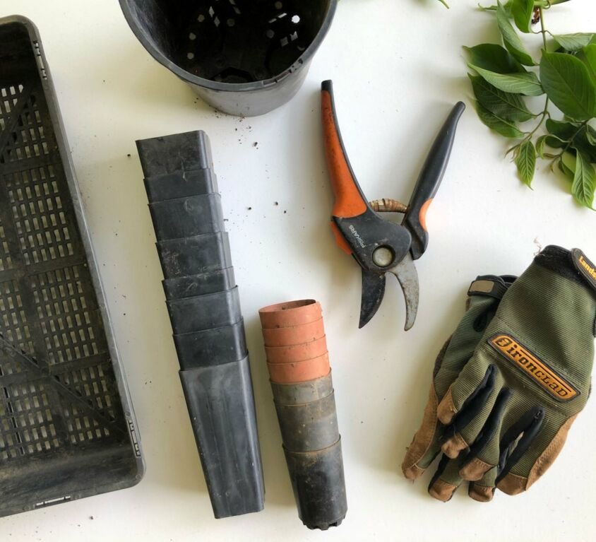 Indoor gardening tools