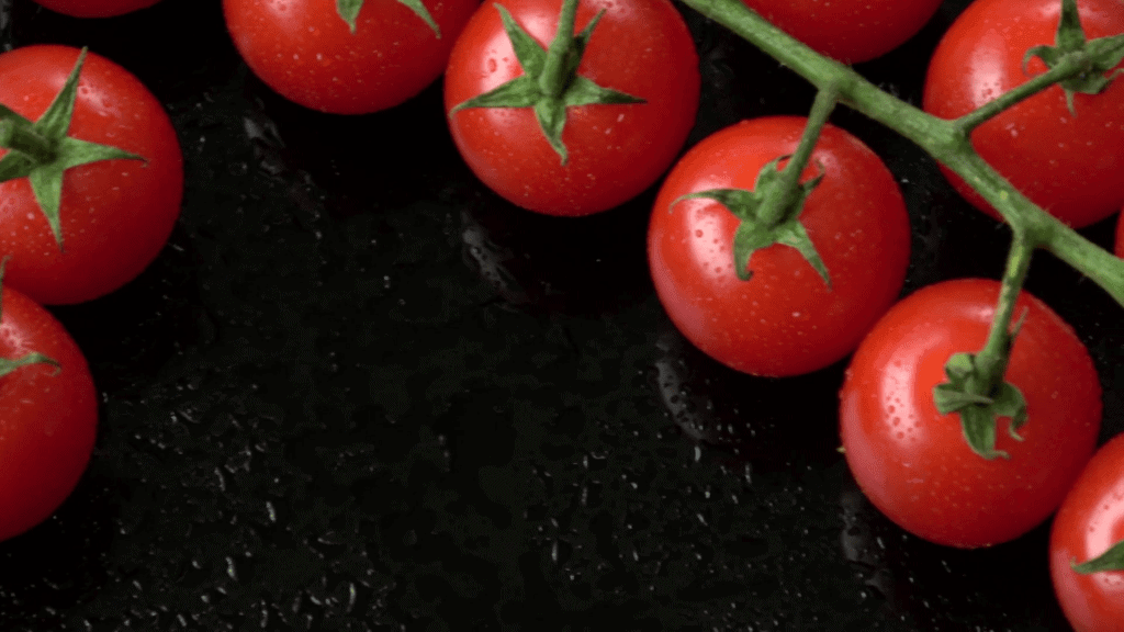 How to grow tomatoes indoors
