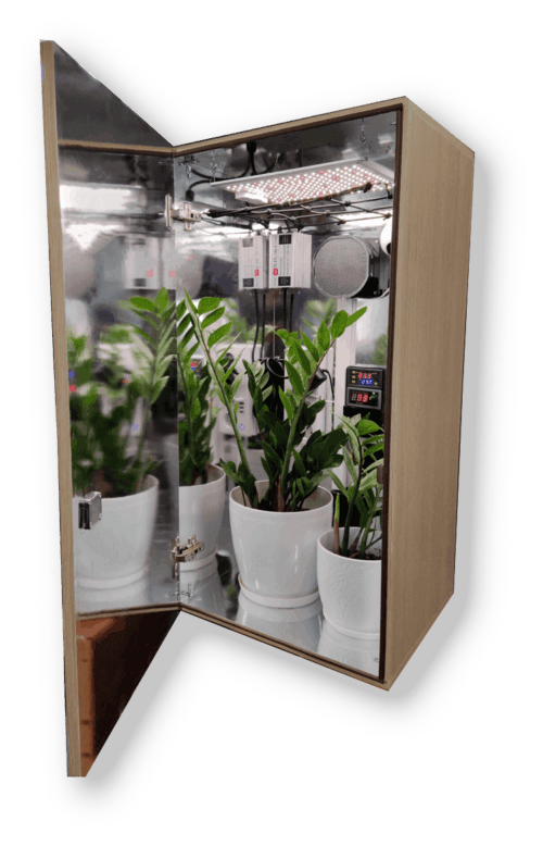 Automated grow box for cannabis (where legal) and other herbs &amp; plants.